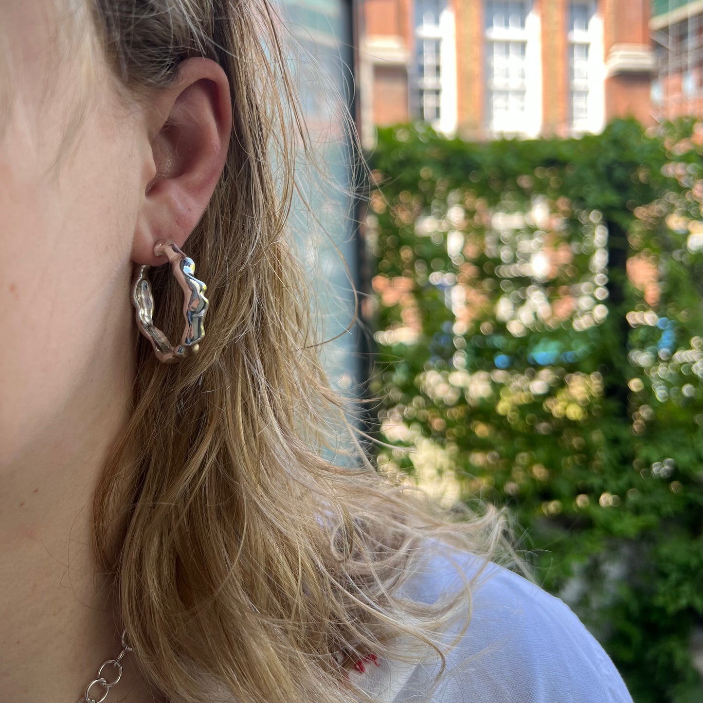 Torrent hoops