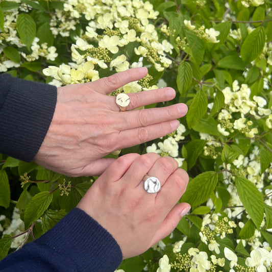 Two hands on a background of a green tree with white flowers. The hand on the left wears a gold splash ring and the one to the right wears a matt splash ring.
